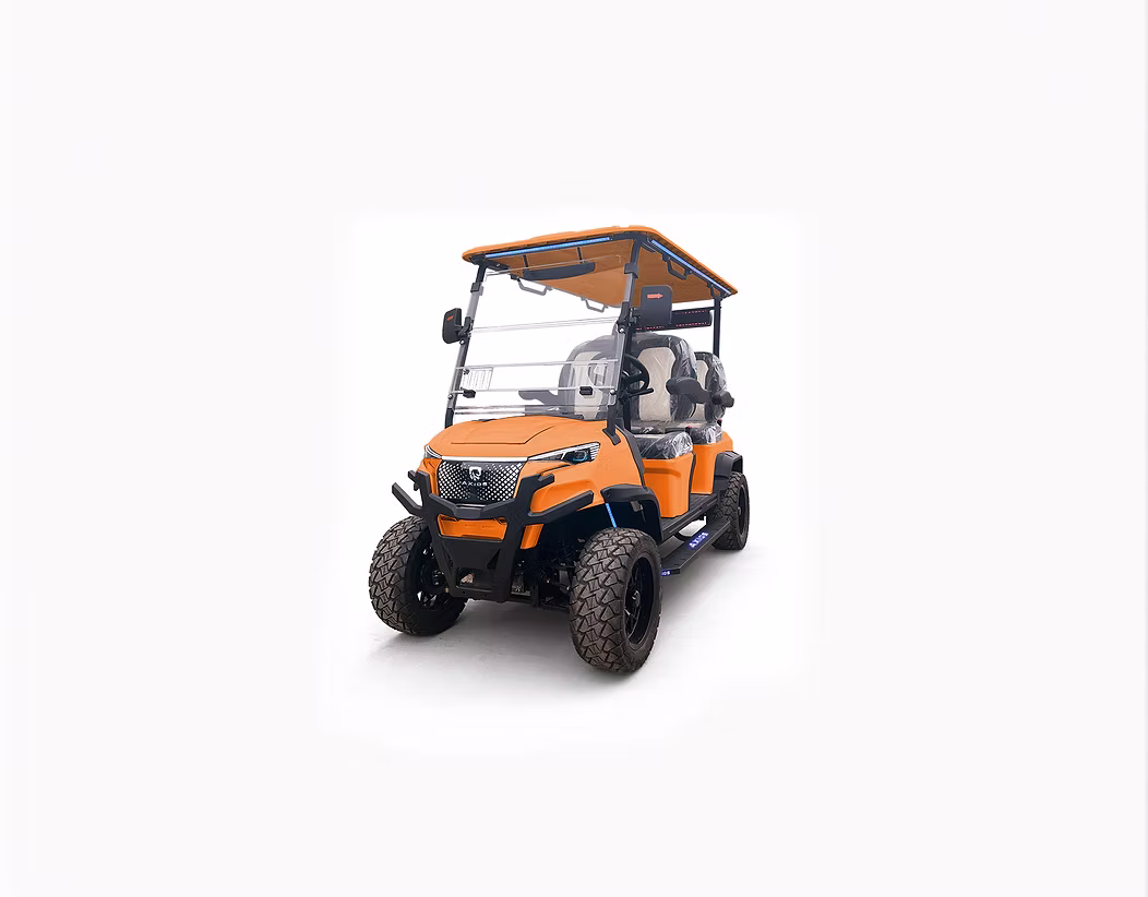 7b1013_f36b6be426cf48e7a2f946a5d29f5b4b~mv2